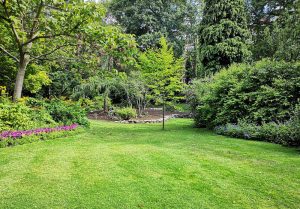 Optimiser l'expérience du jardin à Angles-sur-l'Anglin